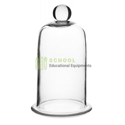 Bell Jar Knobbed