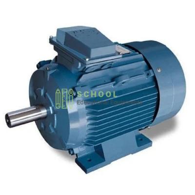 Phase Synchronous Motor Working Model