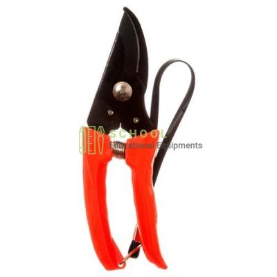 Pruning Secateurs