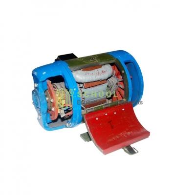 Sectional Front View of DC Motor - Working Model