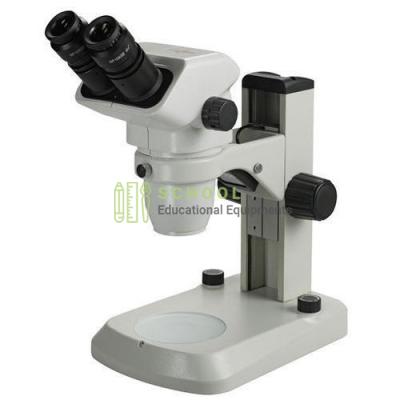 Stereoscopic Microscope