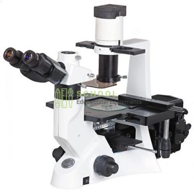 Tissue Culture Microscope